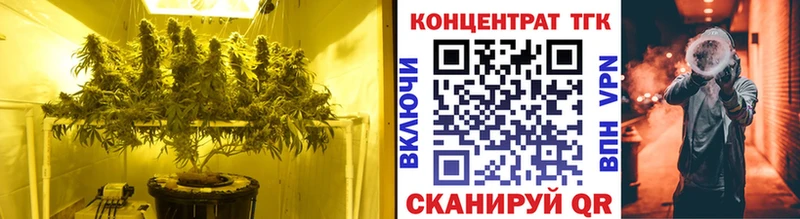 ТГК гашишное масло  Купить где  Дальнереченск 