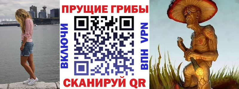Галлюциногенные грибы Cubensis  Купить где  Дальнереченск 